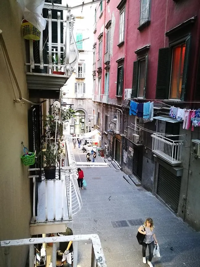 Domus Vinaria Bed & Breakfast Naples
